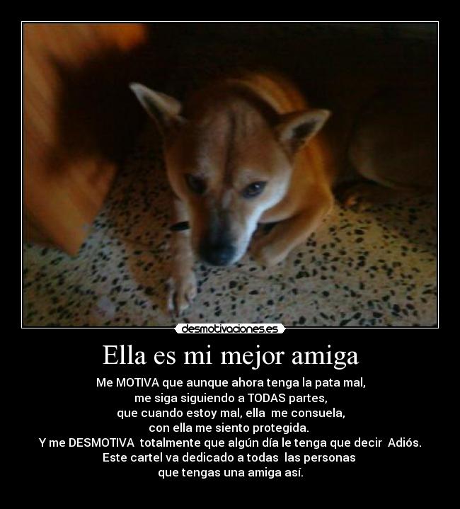 carteles ella mejor amiga desmotivaciones