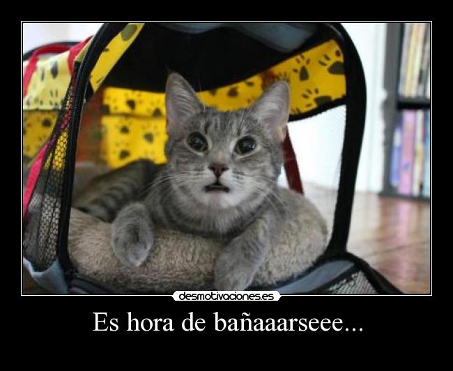 Es hora de bañaaarseee... -