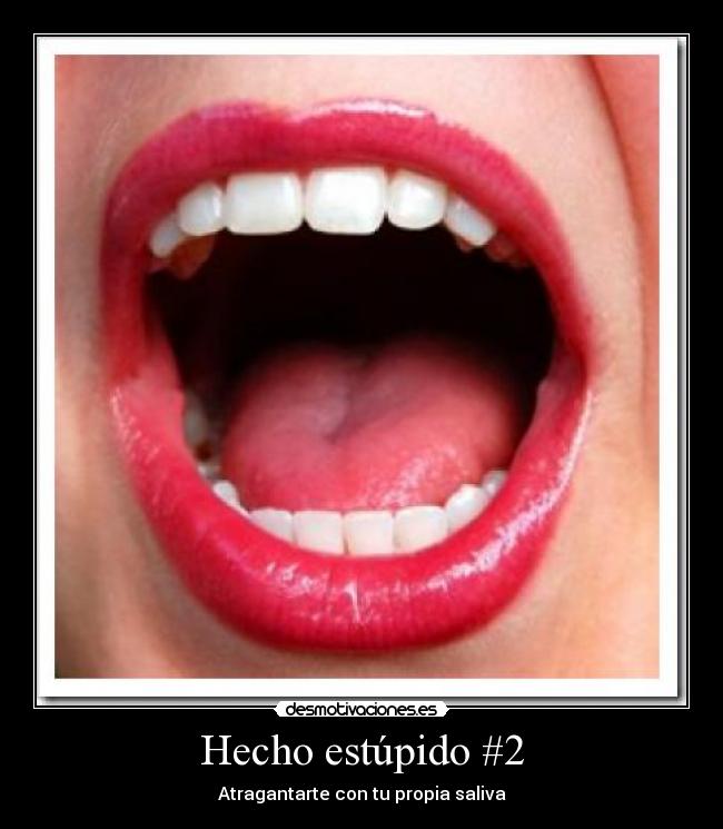 Hecho estúpido #2 -
