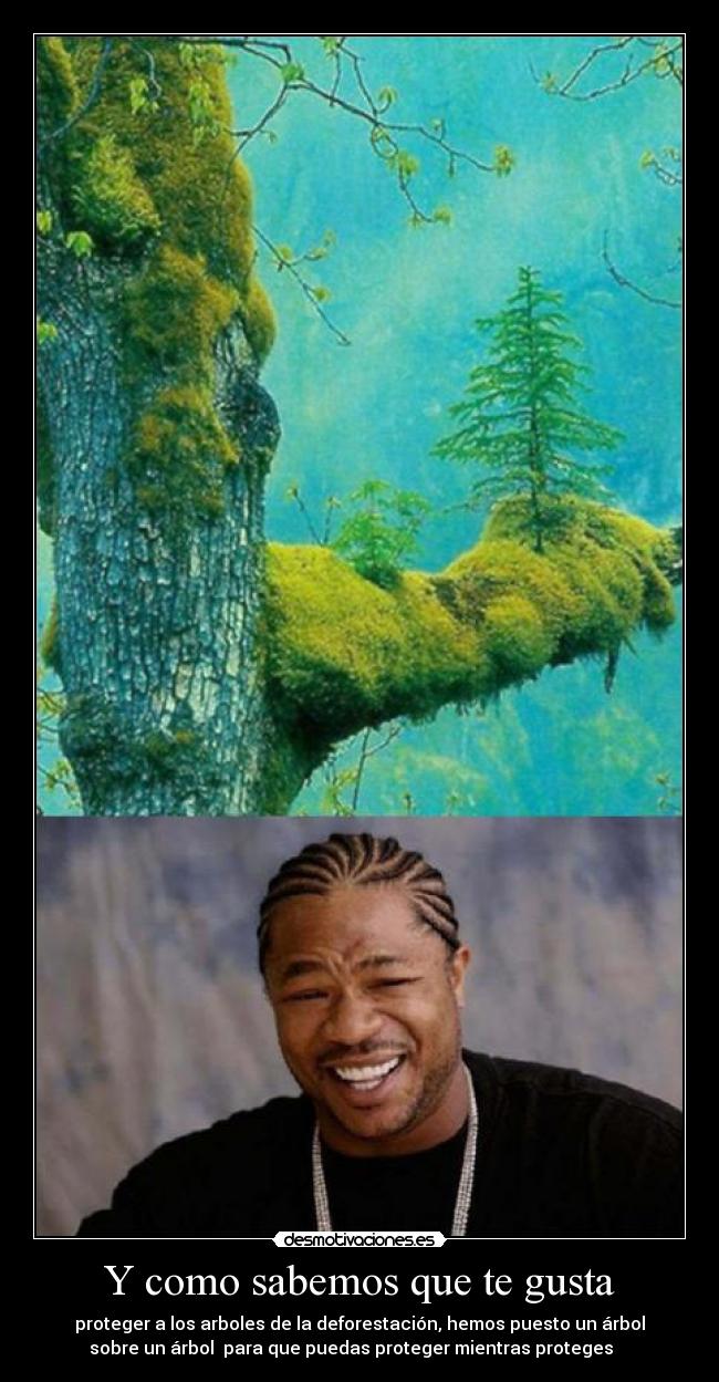 Y como sabemos que te gusta - 