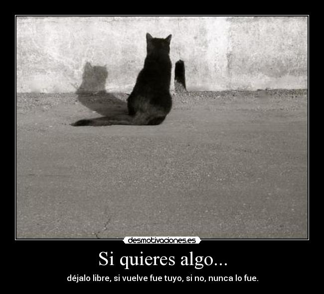 Si quieres algo... -