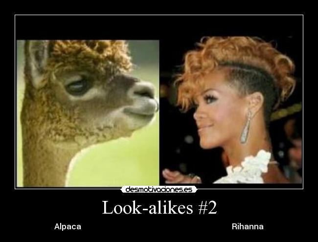 Look-alikes #2 - 