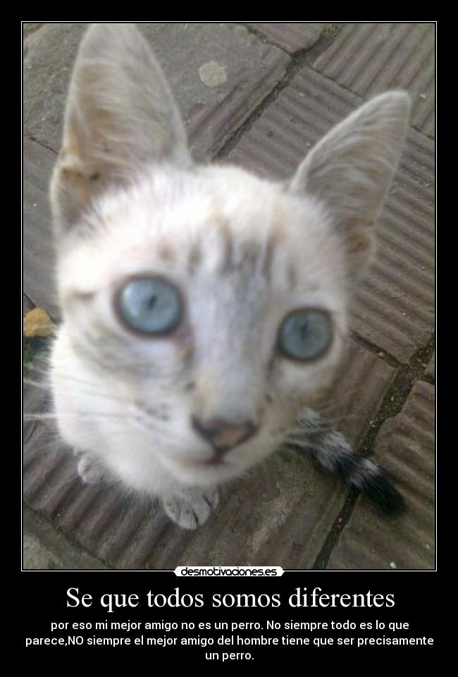 Se que todos somos diferentes - 