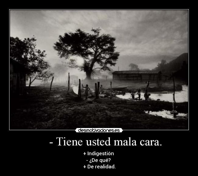 - Tiene usted mala cara. - + Indigestión
- ¿De qué?
+ De realidad.