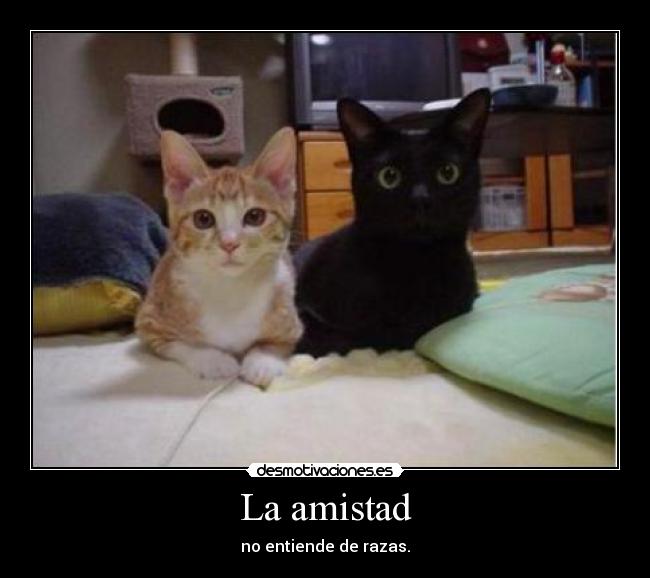 La amistad -