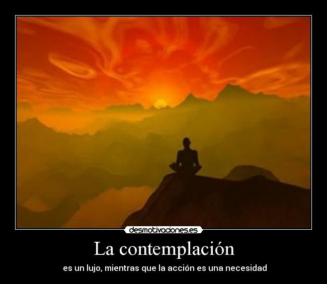 La contemplación - es un lujo, mientras que la acción es una necesidad