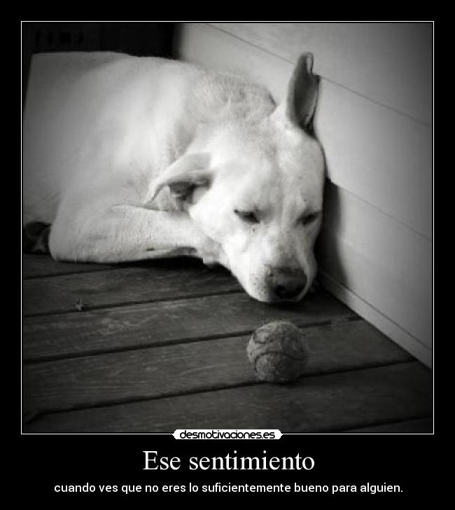 Ese sentimiento -