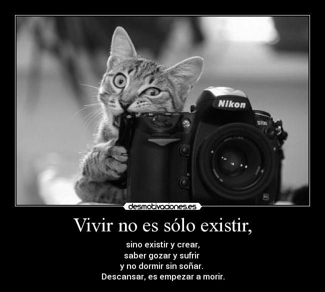 carteles yea desmotivaciones