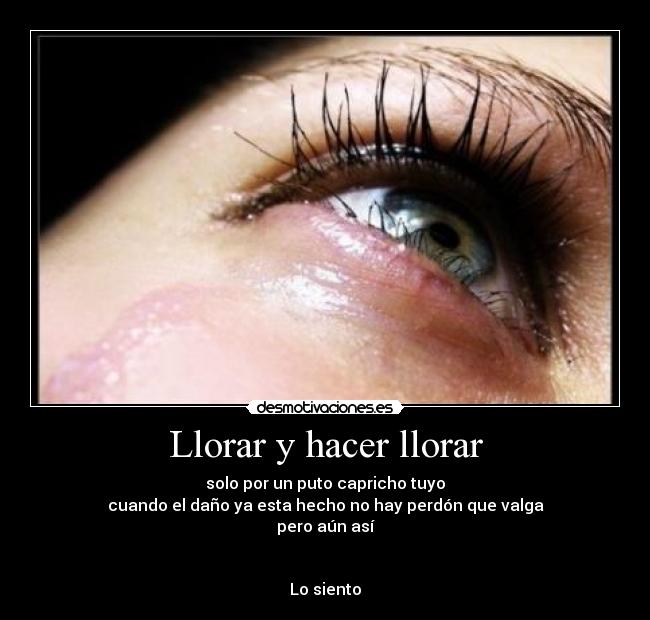 carteles llorar llorar siento desmotivaciones