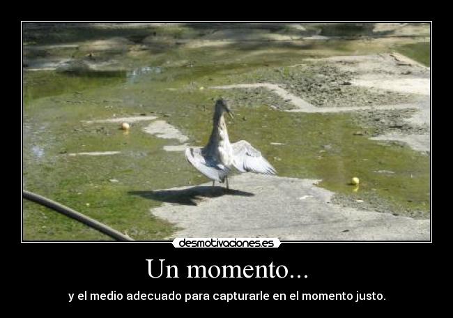 Un momento... - 