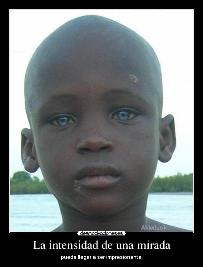 La intensidad de una mirada - puede llegar a ser impresionante.