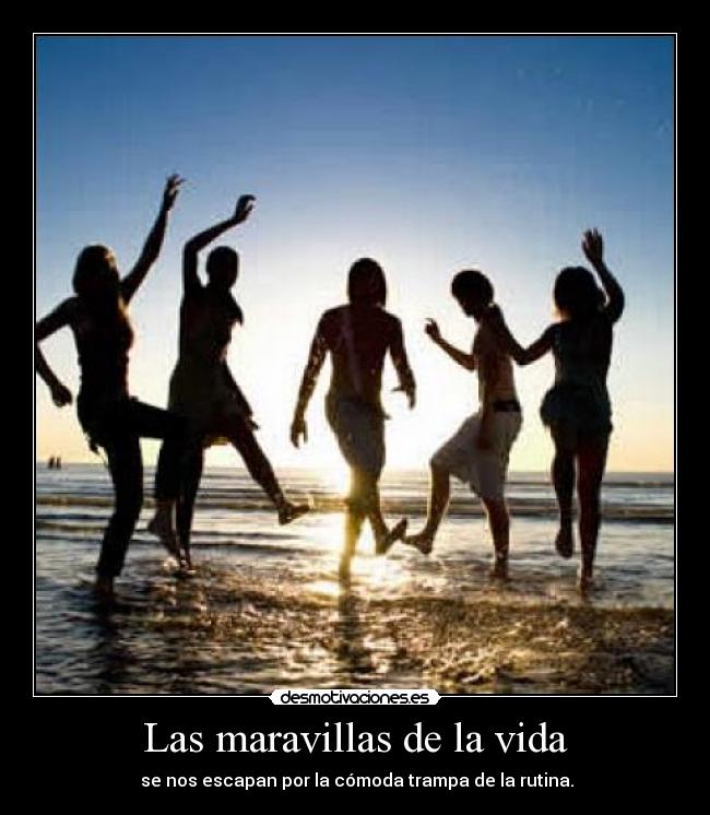 Las maravillas de la vida - 