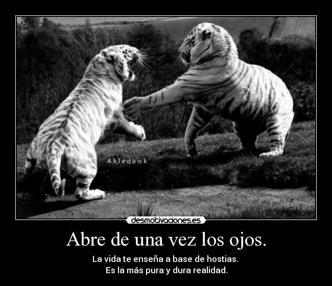 Abre de una vez los ojos. - 