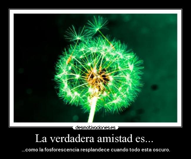 La verdadera amistad es...  - 