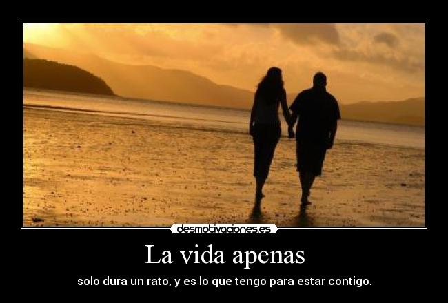 carteles vida vida rato estar contigo desmotivaciones