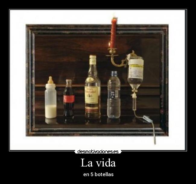 La vida - en 5 botellas