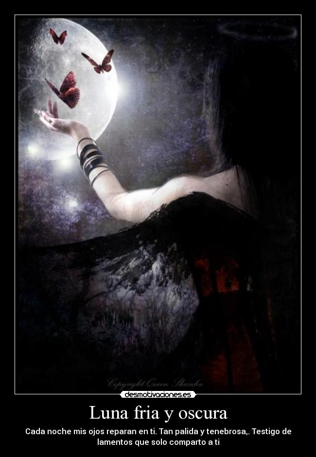 Luna fria y oscura - 