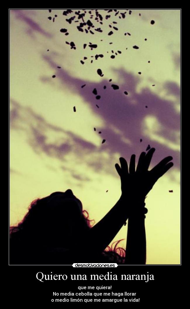 carteles quiro una media desmotivaciones