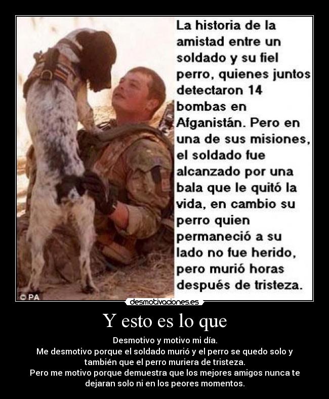 Y esto es lo que - Desmotivo y motivo mi día.
Me desmotivo porque el soldado murió y el perro se quedo solo y
también que el perro muriera de tristeza.
Pero me motivo porque demuestra que los mejores amigos nunca te
dejaran solo ni en los peores momentos.