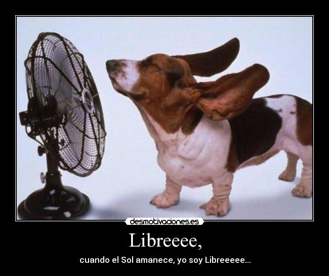 Libreeee, - cuando el Sol amanece, yo soy Libreeeee...