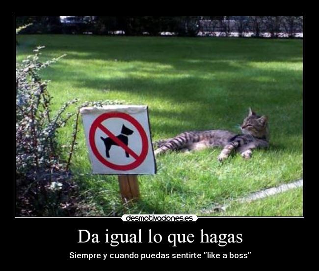 Da igual lo que hagas - Siempre y cuando puedas sentirte like a boss