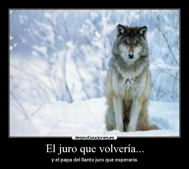 El juro que volvería... - y el papa del llanto juro que esperaría.