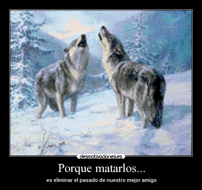 Porque matarlos... -