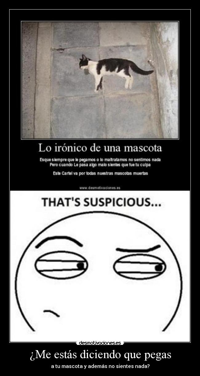 ¿Me estás diciendo que pegas - a tu mascota y además no sientes nada?