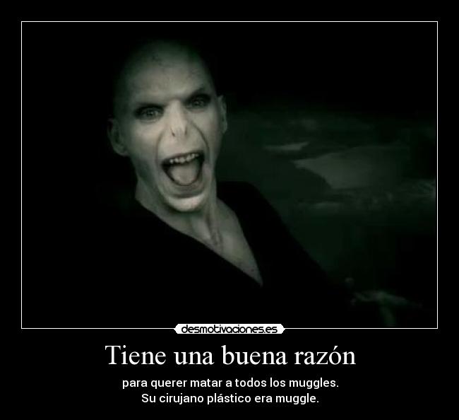 Tiene una buena razón - para querer matar a todos los muggles.
Su cirujano plástico era muggle.