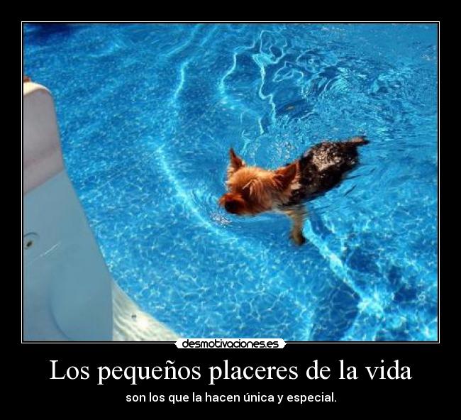 Los pequeños placeres de la vida - son los que la hacen única y especial.