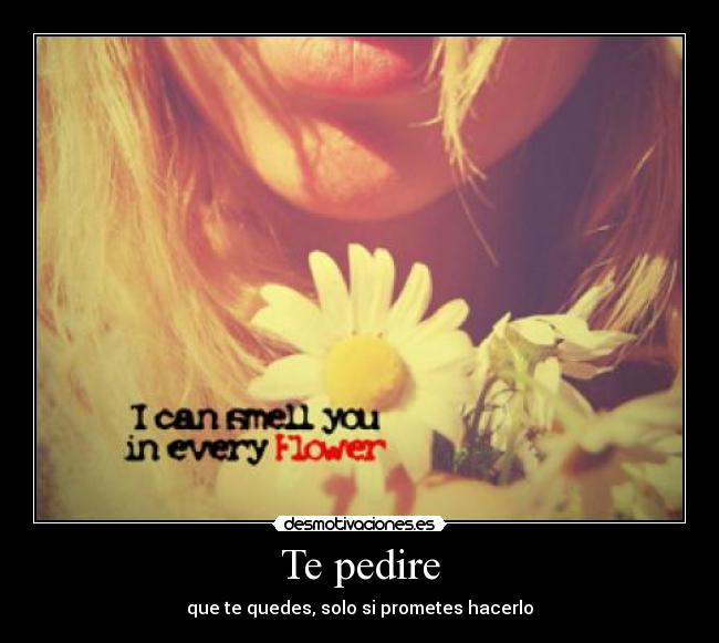 Te pedire -