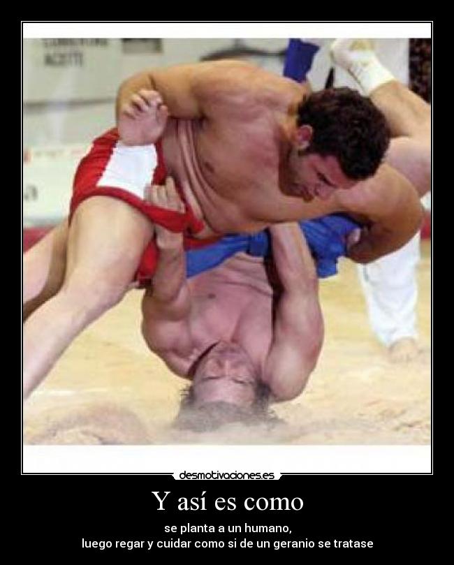 Y así es como - se planta a un humano,
luego regar y cuidar como si de un geranio se tratase