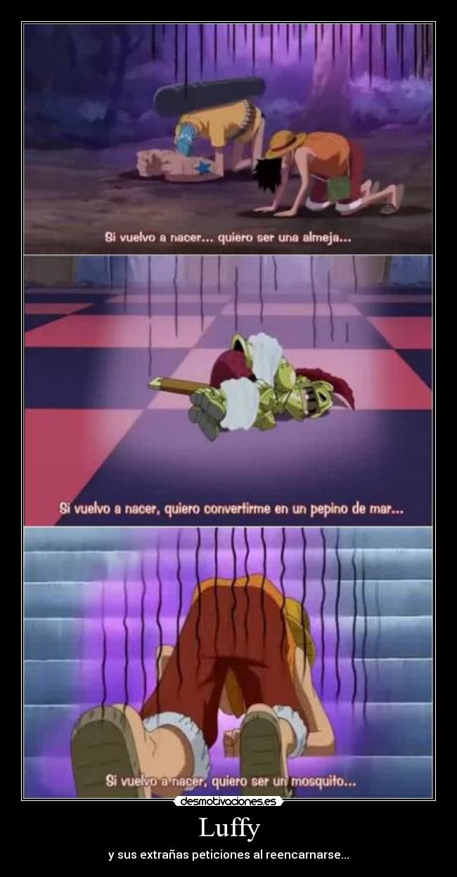 Luffy - 