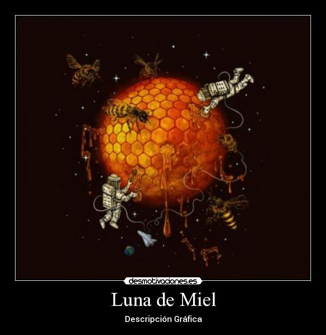 Luna de Miel - 