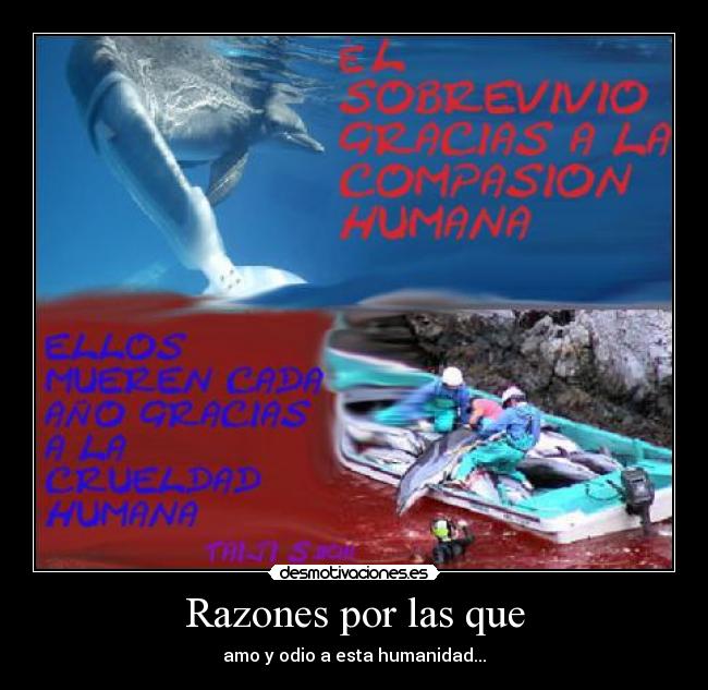 Razones por las que - amo y odio a esta humanidad...
