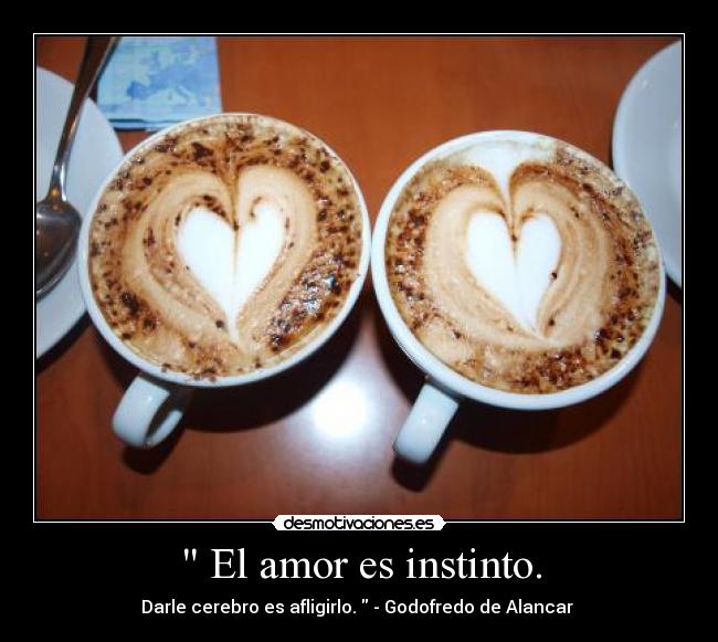 El amor es instinto. -