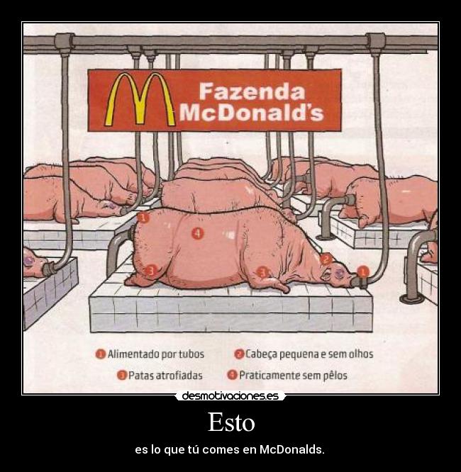 Esto - es lo que tú comes en McDonalds.