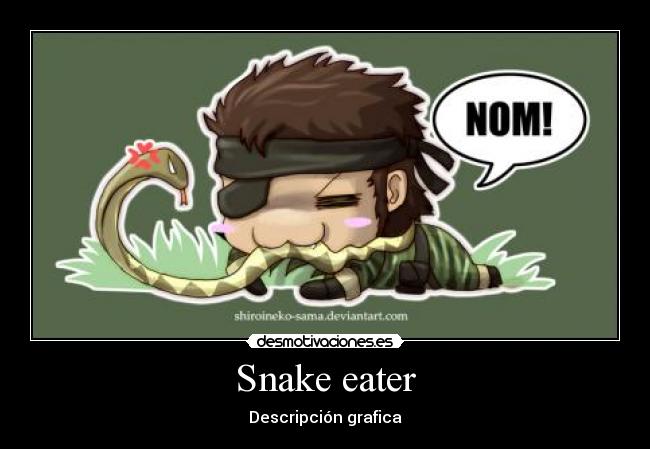 Snake eater - Descripción grafica