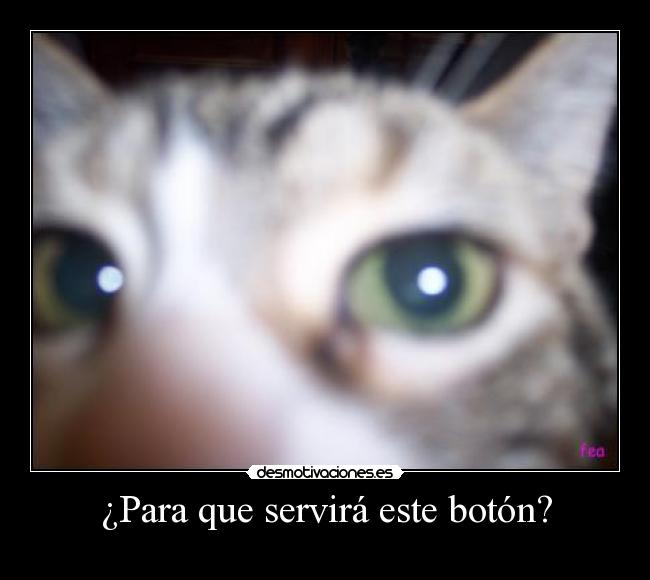 ¿Para que servirá este botón? -