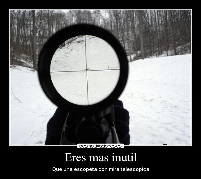Eres mas inutil - Que una escopeta con mira telescopica