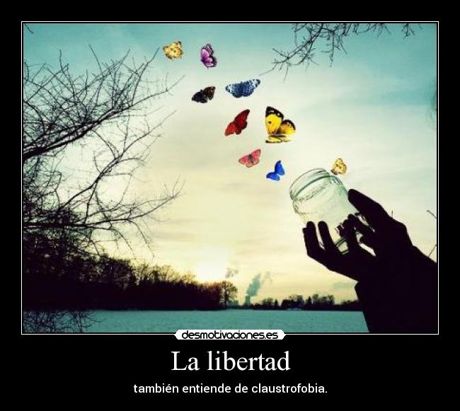 carteles libertad libertad claustrofobia desmotivaciones