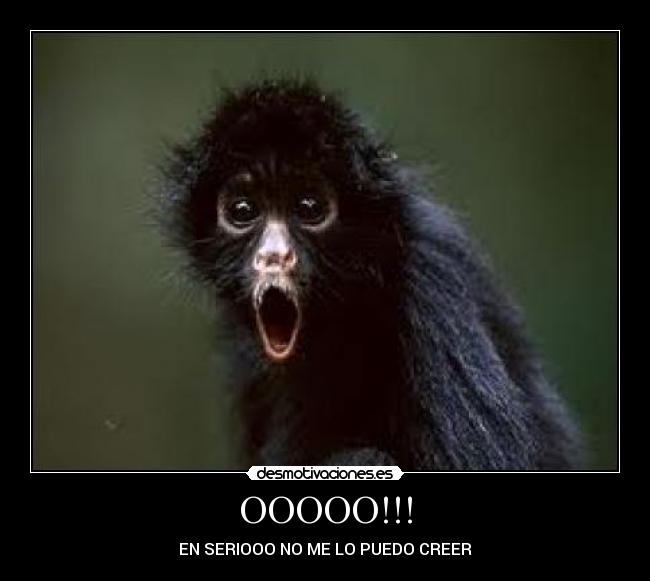 OOOOO!!! - EN SERIOOO NO ME LO PUEDO CREER