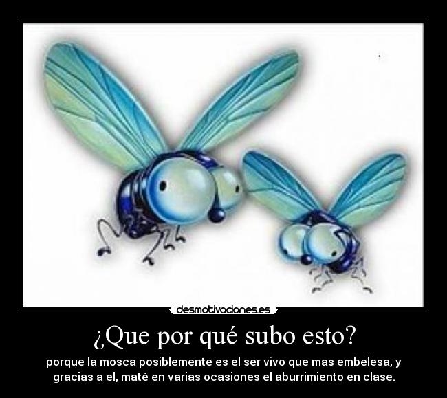 ¿Que por qué subo esto? - 