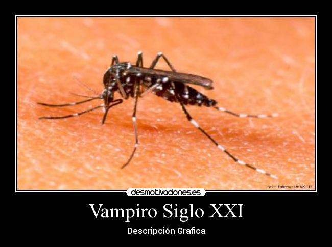 Vampiro Siglo XXI - Descripción Grafica