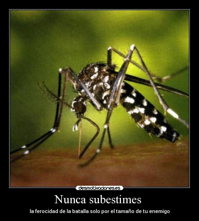 carteles mosquito batalla enemigo desmotivaciones