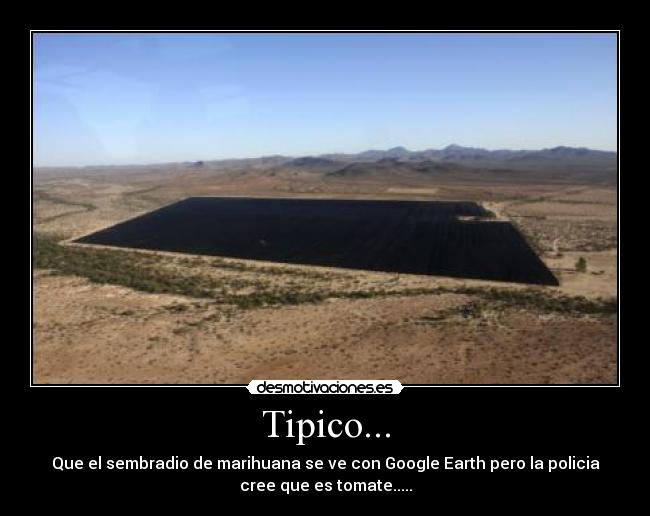 Tipico... - Que el sembradio de marihuana se ve con Google Earth pero la policia
cree que es tomate.....