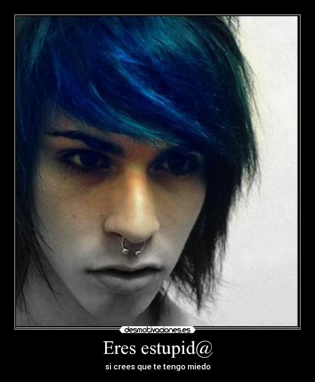 carteles eres estupido estupida desmotivaciones