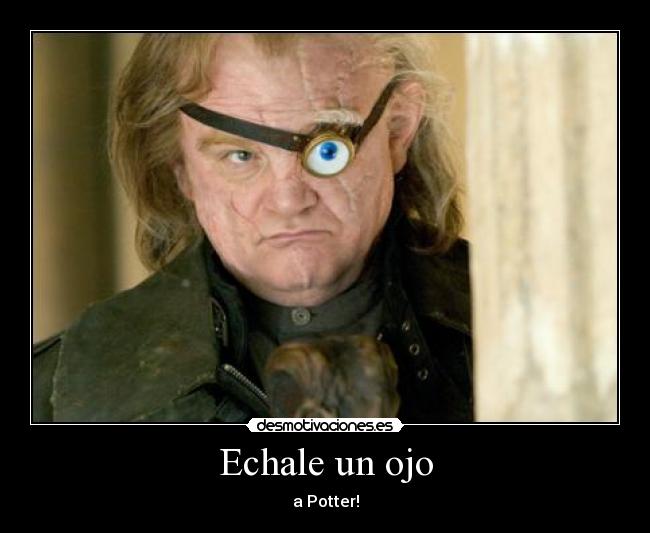 carteles potter desmotivaciones
