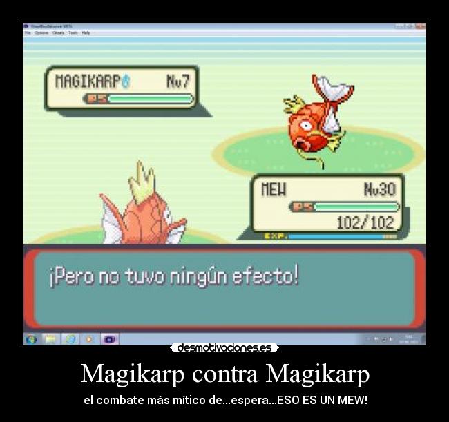 Magikarp contra Magikarp - 