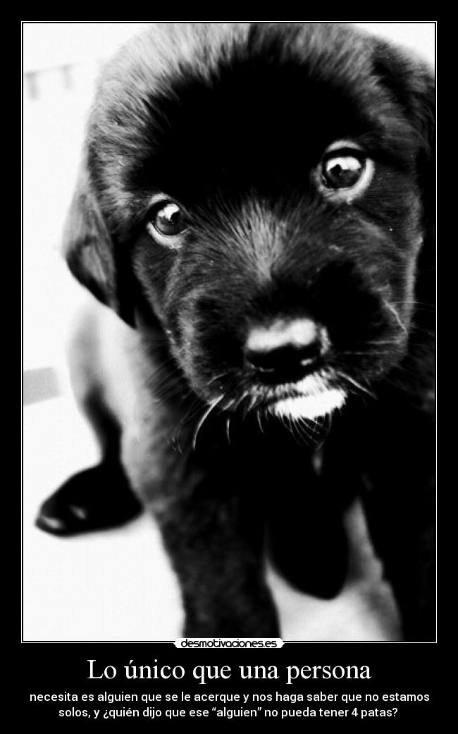 Lo único que una persona -